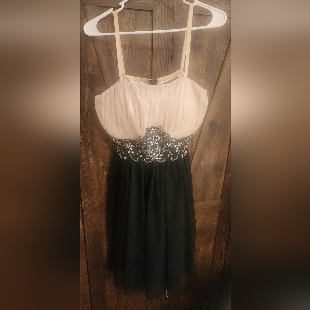 Elegant Black and Cream Dress